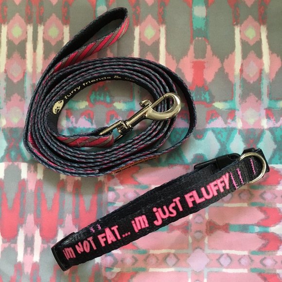 NWOT Furry Friends & Co. Small Leash and Collar - Picture 1 of 6